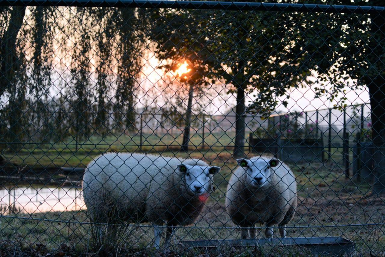 Keyserbosch-hof Holiday home *
